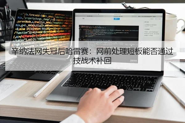 辛纳法网失冠后哈雷赛：网前处理短板能否通过技战术补回